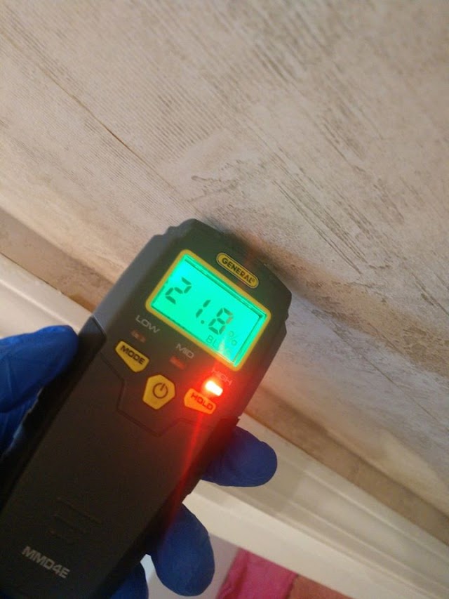 Mold Testing Services photo 2