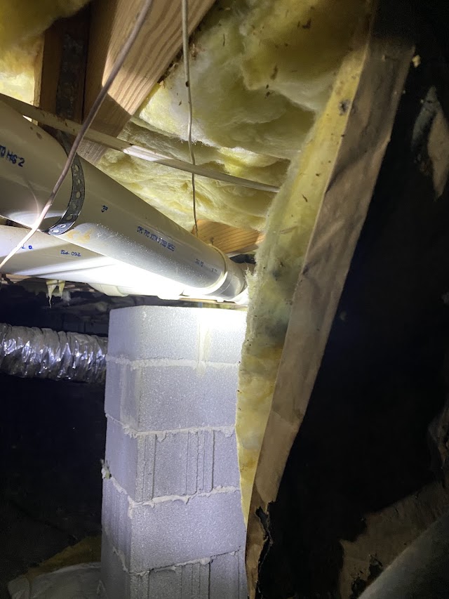 Mold Testing Services photo 4
