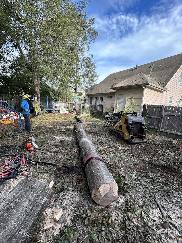 Mondragon Tree Care photo 1