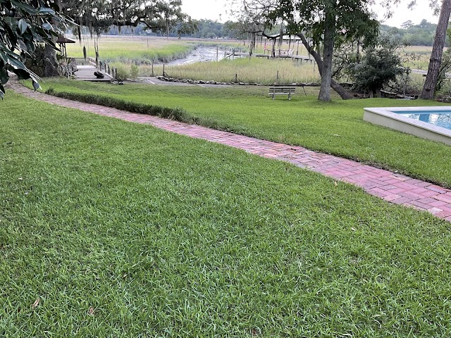 Morales lawn care tree work LLC photo 2