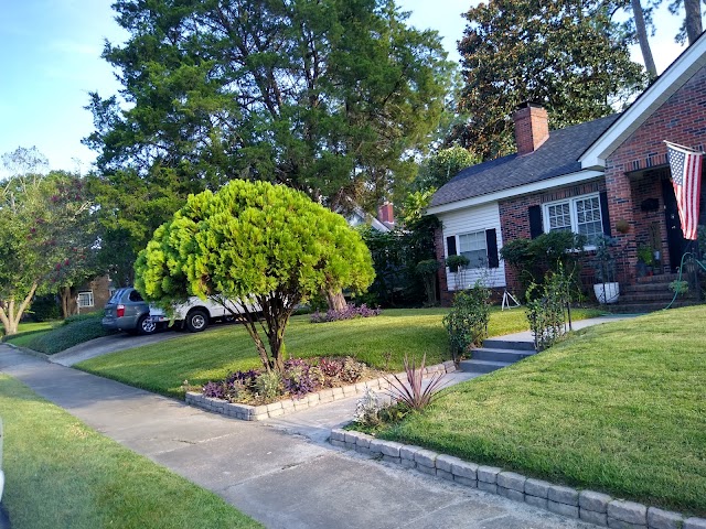 Morales lawn care tree work LLC photo 4