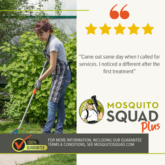 Mosquito Squad of Augusta photo 2