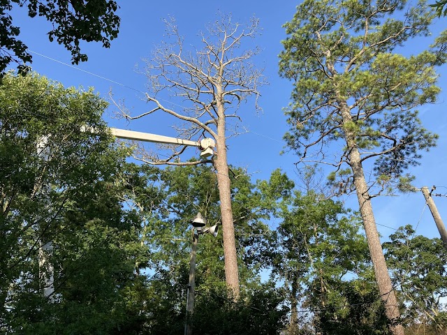 Mountaineer Tree Service