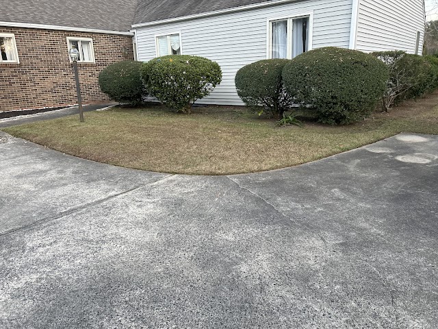 Mr. Davis Lawn Service LLC photo 2