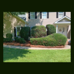 Mr. Davis Lawn Service LLC photo 3