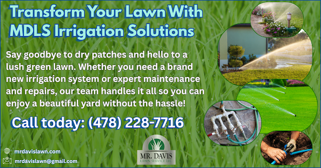 Mr. Davis Lawn Service LLC photo 4