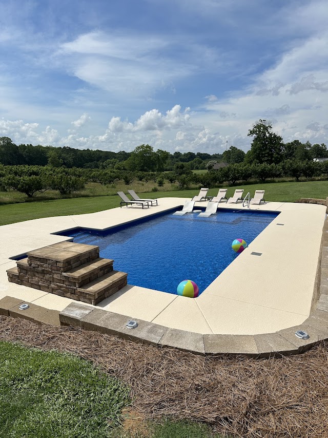 Mr Pool photo 2