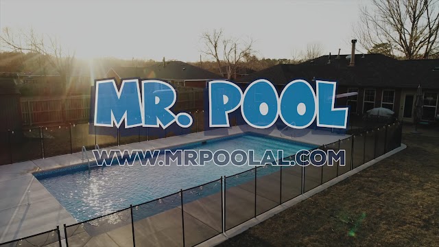 Mr Pool photo 3