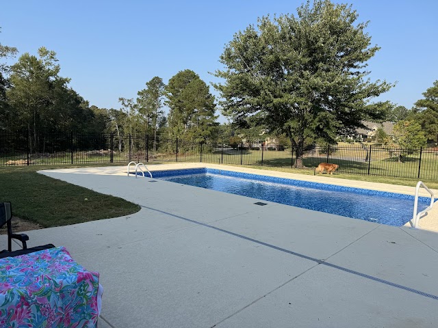 Mr Pool photo 4