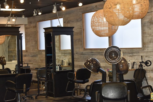 New Creations Salon photo 3