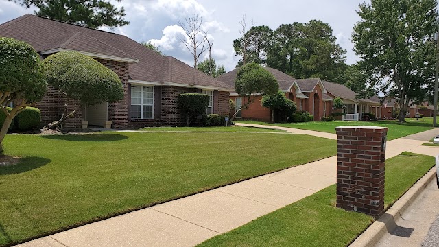 New Leaf Lawn Care & Landscaping photo 3