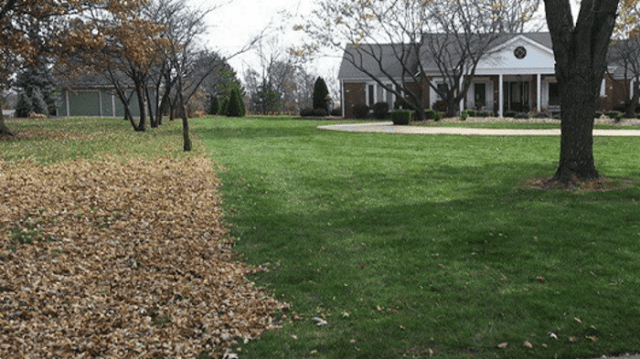 Nolan Lawn Care and Landscaping LLC photo 1