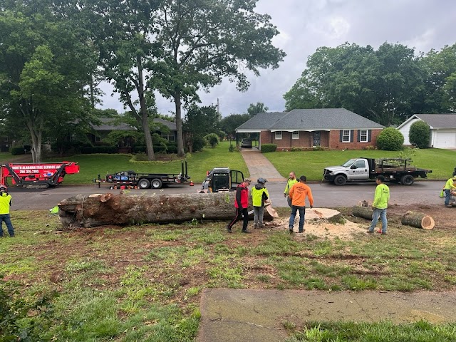 North Alabama Tree Service photo 3