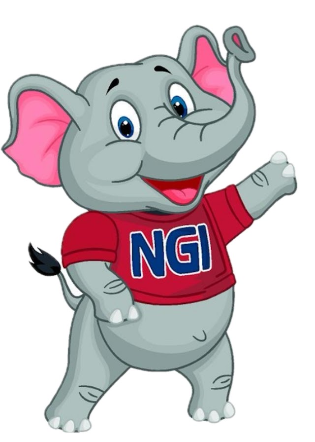 North Georgia Insulation (THE ORIGINAL)