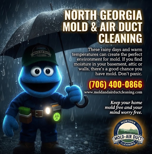 North Georgia Mold & Air Duct Cleaning photo 2