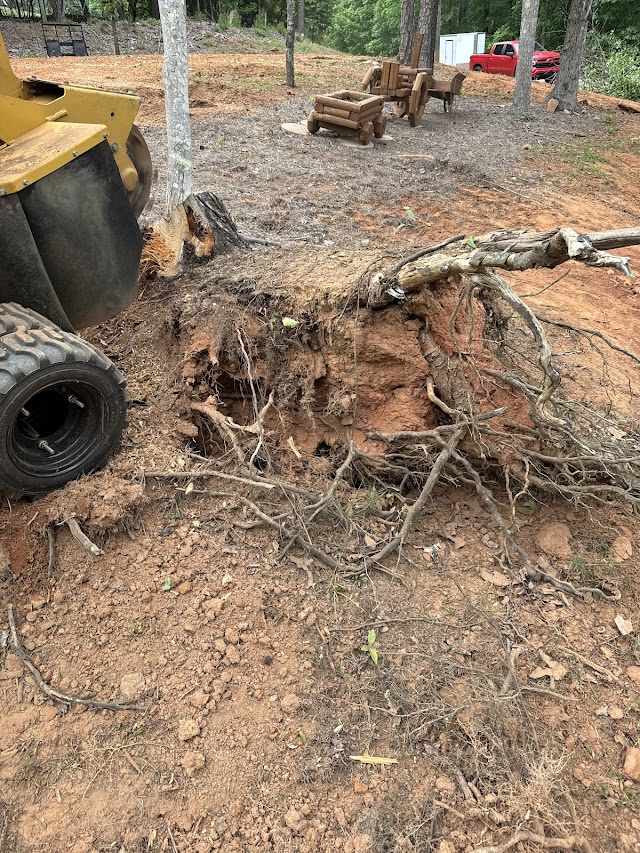 North Georgia Stump Removal LLC