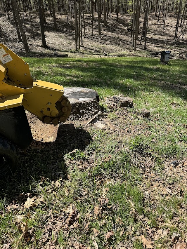 North Georgia Stump Removal LLC photo 2