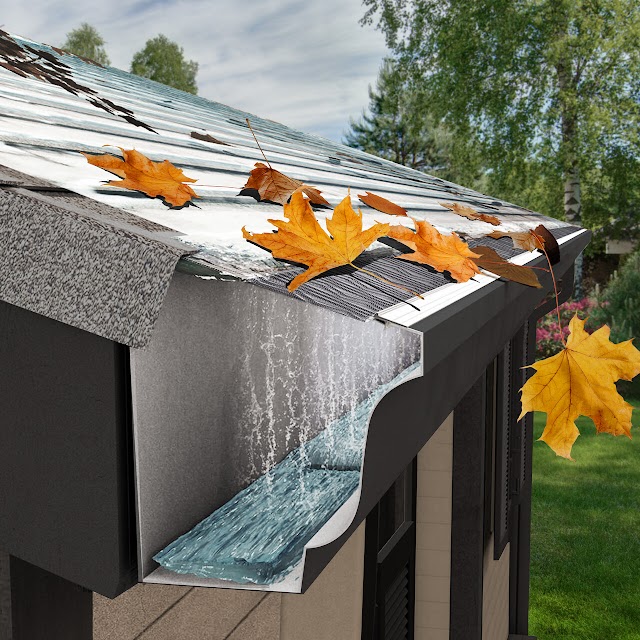 Northside Gutter Cleaning Inc.