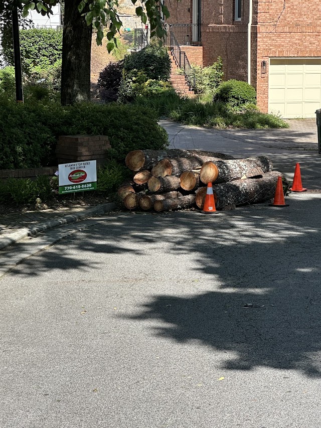 Northside Tree Professionals photo 2