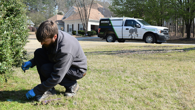 Northwest Exterminating - Gainesville photo 2
