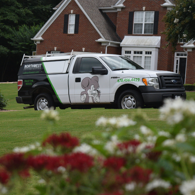 Northwest Exterminating - Macon