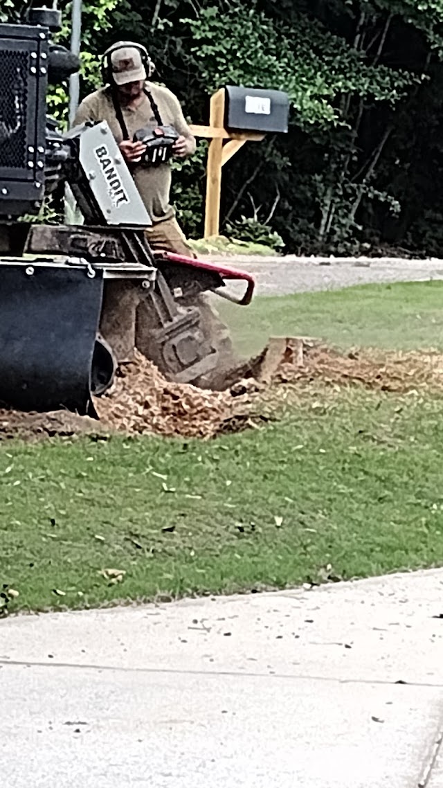 Oak Hill Arborist photo 2