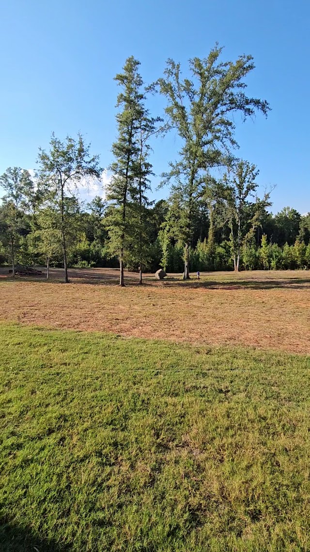 Oak Hill Arborist photo 3