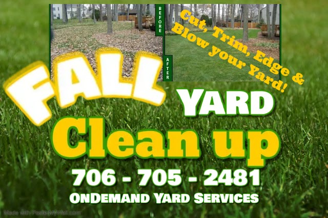 OnDemand Yard Services of Athens photo 2