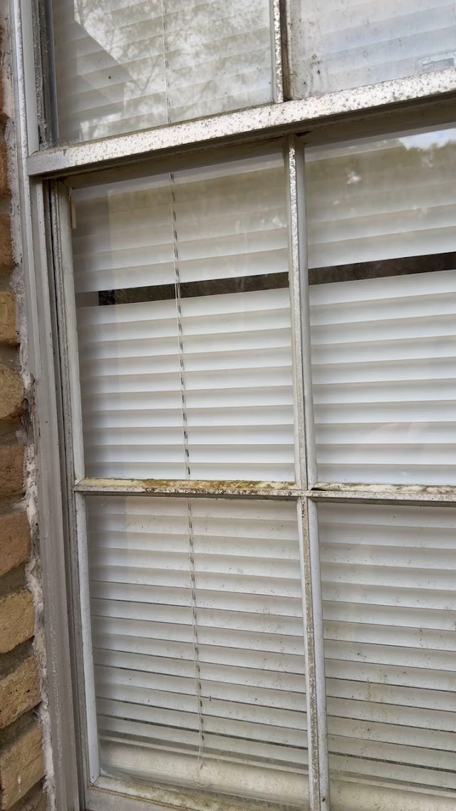 Open Windows Glass photo 3
