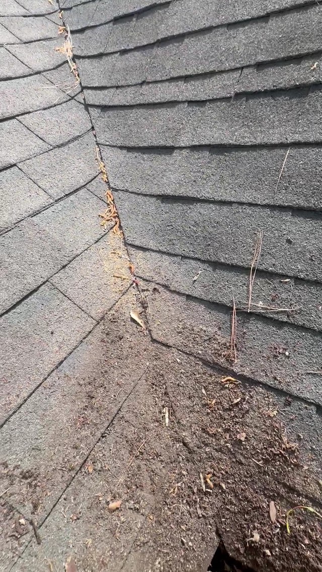 Outdoor Home Services Co. photo 2