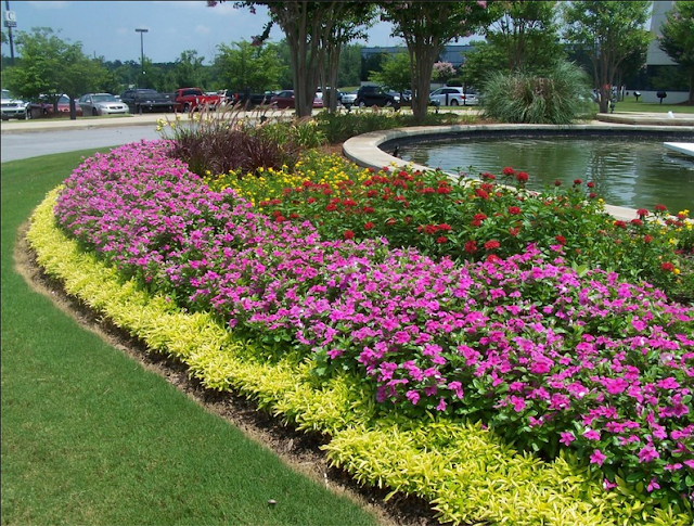 Outdoor Solutions photo 1