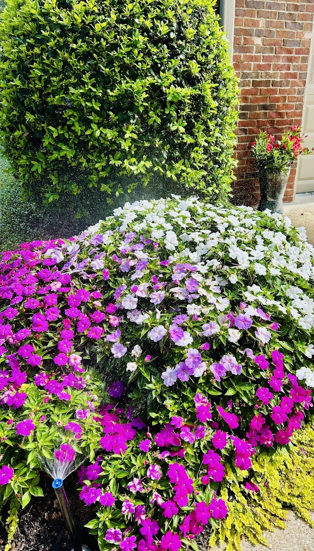 Outdoor Solutions photo 2