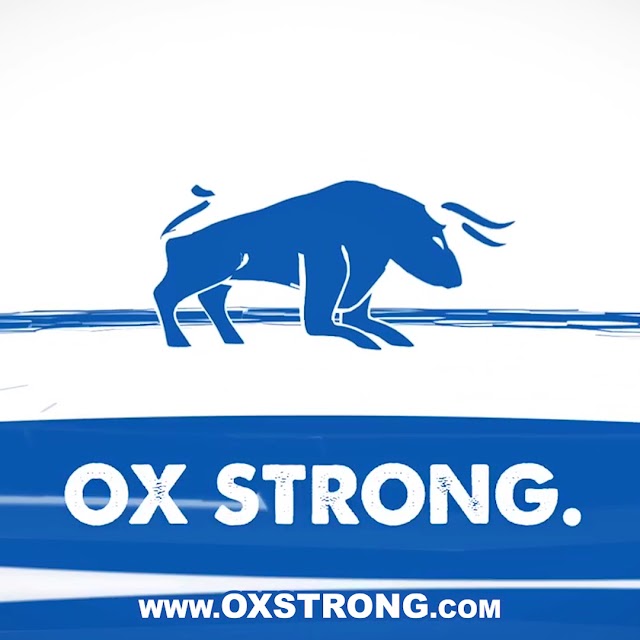 Ox Foundation Solutions photo 3