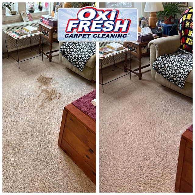 Oxi Fresh Carpet Cleaning photo 2