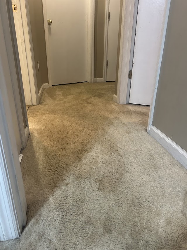 Oxi Fresh Carpet Cleaning photo 3