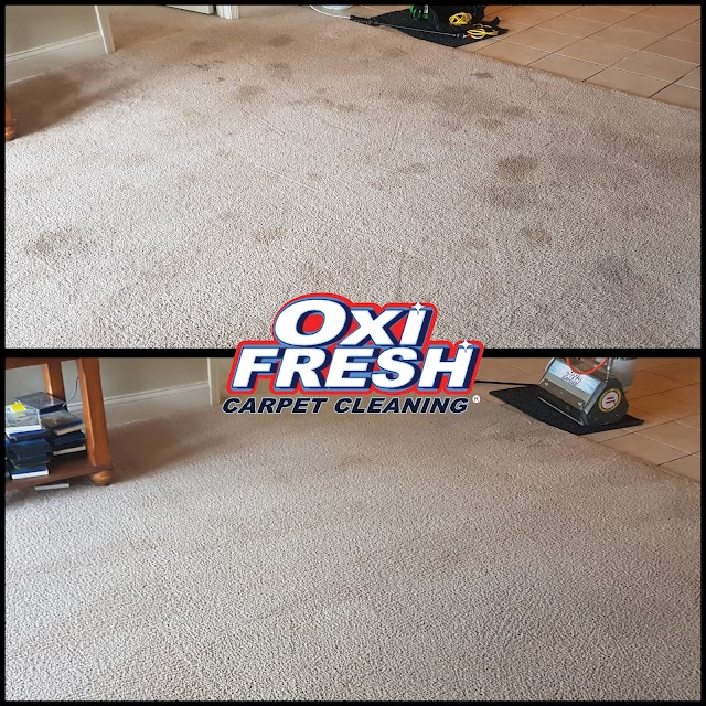Oxi Fresh Carpet Cleaning photo 4