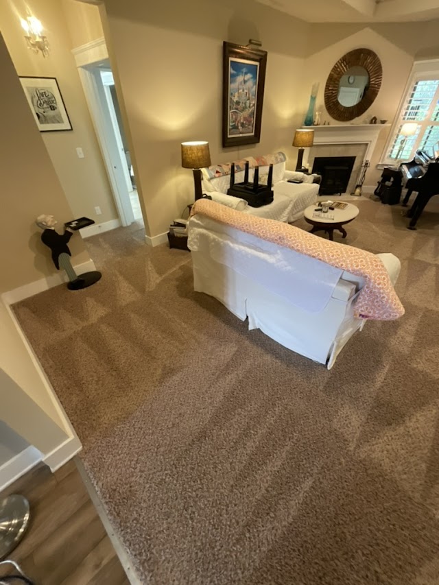 Oxi Fresh Carpet Cleaning photo 3
