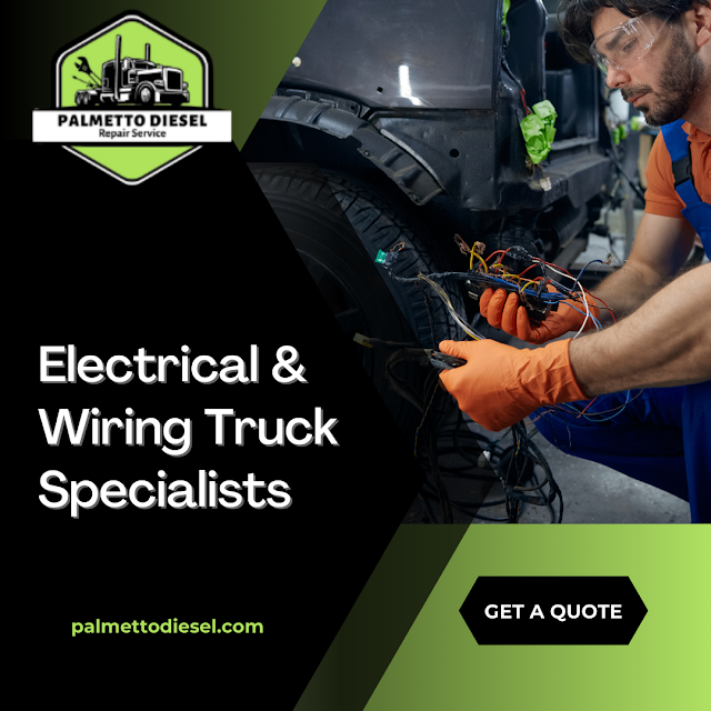 Palmetto Diesel Repair Inc.