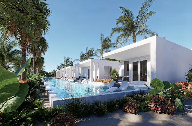 Paradis Moderne photo 2