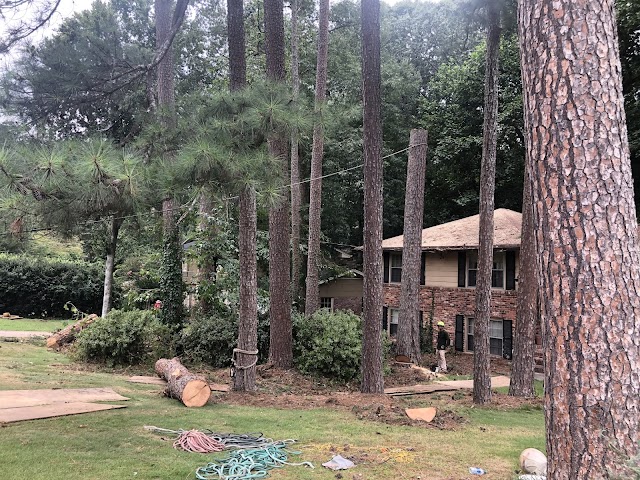 Peachtree Arborists