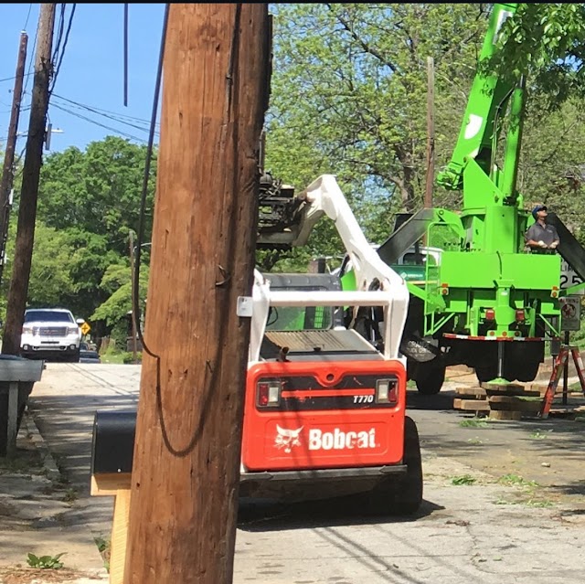 Peachtree Arborists photo 2