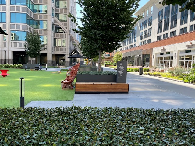 Peachtree Landscape photo 3