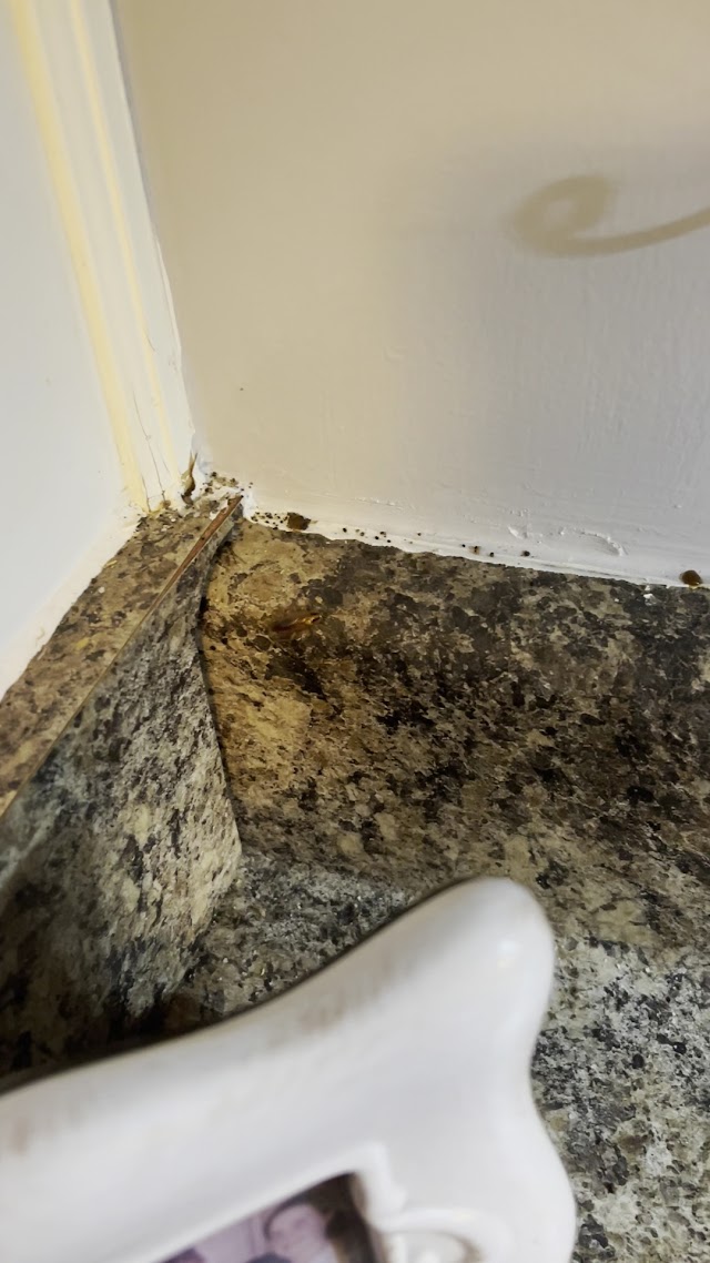 Peachtree Pest Control photo 3