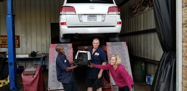 Pelc Tire & Service photo 4