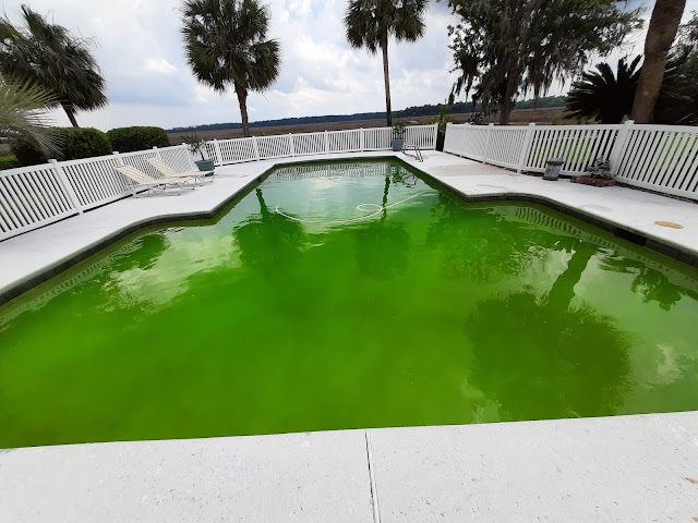 Perfect Pools Savannah photo 4