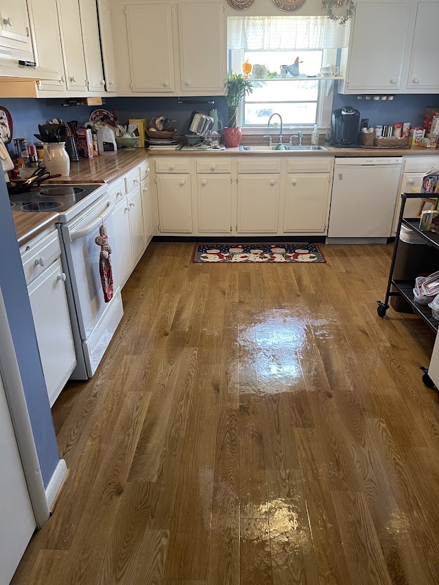 Platinum Pro. Cleaning Service photo 1