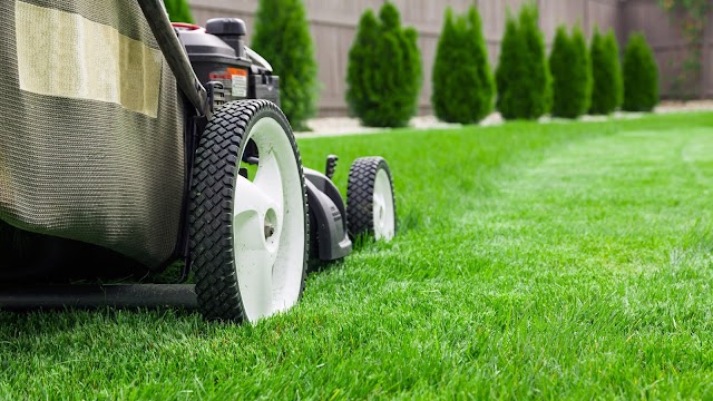 Plowz & Mowz Lawn Care Service photo 3