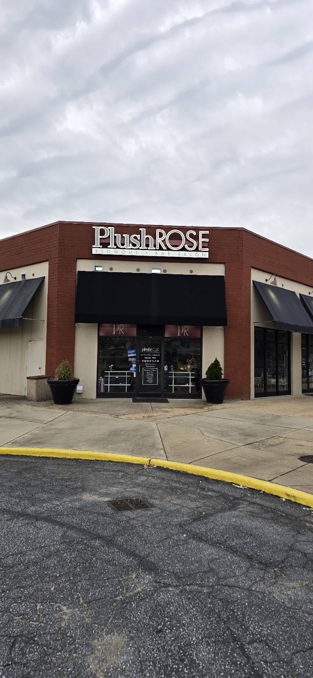 Plush Rose a Blowout Bar Salon Inc. photo 4