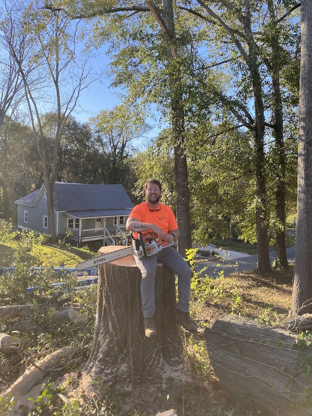 Porterfield Stump and Tree photo 1