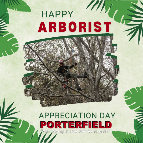 Porterfield Stump and Tree photo 4